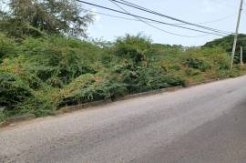 Residential Lot for Sale in Denbigh