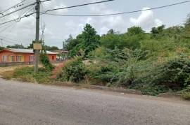 Residential Lot for Sale in Denbigh