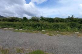 Residential Lot for Sale in Yallahs