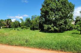 Residential Lot for Sale in Mandeville