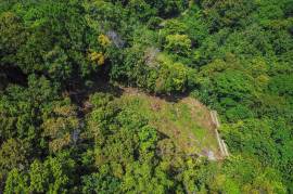 Residential Lot for Sale in Priestman's River