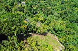 Residential Lot for Sale in Priestman's River