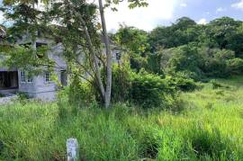 Residential Lot for Sale in Mandeville