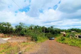 Residential Lot for Sale in Mandeville