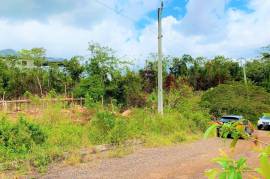 Residential Lot for Sale in Mandeville