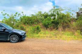 Residential Lot for Sale in Mandeville