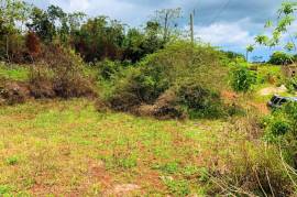 Residential Lot for Sale in Mandeville