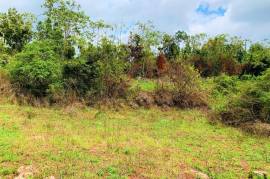 Residential Lot for Sale in Mandeville