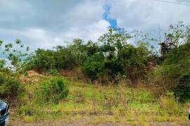 Residential Lot for Sale in Mandeville