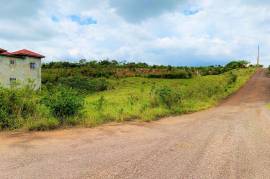 Residential Lot for Sale in Mandeville