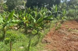 Residential Lot for Sale in Mandeville