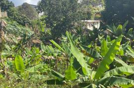 Residential Lot for Sale in Mandeville