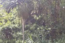 Residential Lot for Sale in Kingston 9