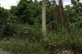 Residential Lot for Sale in Kingston 19