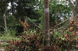 Residential Lot for Sale in Kingston 19