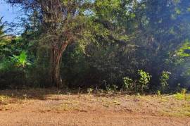 Residential Lot for Sale in Runaway Bay