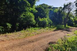 Residential Lot for Sale in Runaway Bay