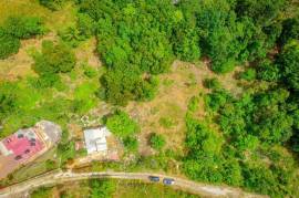 Residential Lot for Sale in Mandeville