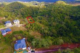 Residential Lot for Sale in Mandeville