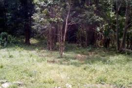 Residential Lot for Sale in Buff Bay