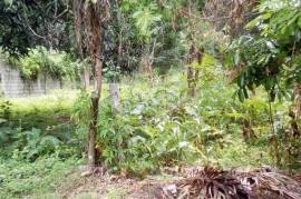 Residential Lot for Sale in Buff Bay