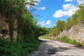 Residential Lot for Sale in May Pen