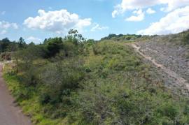 Residential Lot for Sale in Mandeville