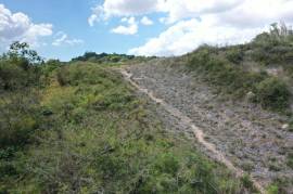 Residential Lot for Sale in Mandeville