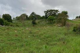 Residential Lot for Sale in Mandeville