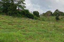 Residential Lot for Sale in Mandeville