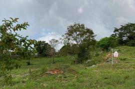 Residential Lot for Sale in Mandeville