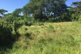 Residential Lot for Sale in Falmouth