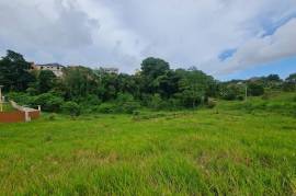 Residential Lot for Sale in Knockpatrick