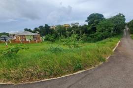 Residential Lot for Sale in Knockpatrick