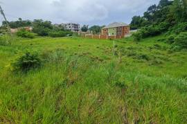 Residential Lot for Sale in Knockpatrick