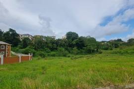 Residential Lot for Sale in Knockpatrick