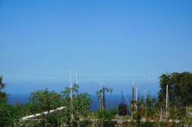 Residential Lot for Sale in Runaway Bay