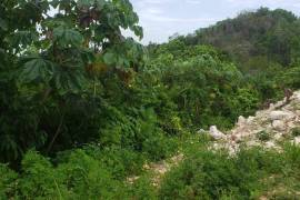 Residential Lot for Sale in Kingston 19