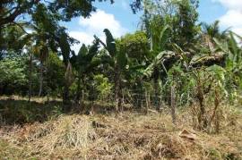 Residential Lot for Sale in Ocho Rios