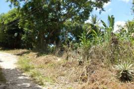 Residential Lot for Sale in Ocho Rios