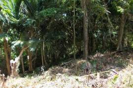 Residential Lot for Sale in Ocho Rios