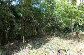 Residential Lot for Sale in Ocho Rios