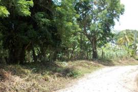 Residential Lot for Sale in Ocho Rios