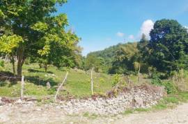 Residential Lot for Sale in Welcome Hall