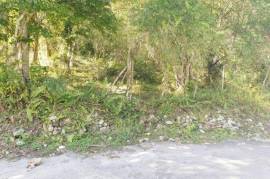 Residential Lot for Sale in Welcome Hall