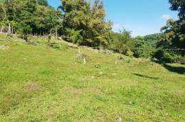 Residential Lot for Sale in Welcome Hall