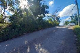 Residential Lot for Sale in Mandeville