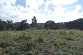 Residential Lot for Sale in Mandeville