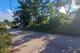 Residential Lot for Sale in Mandeville