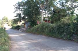 Residential Lot for Sale in Mandeville